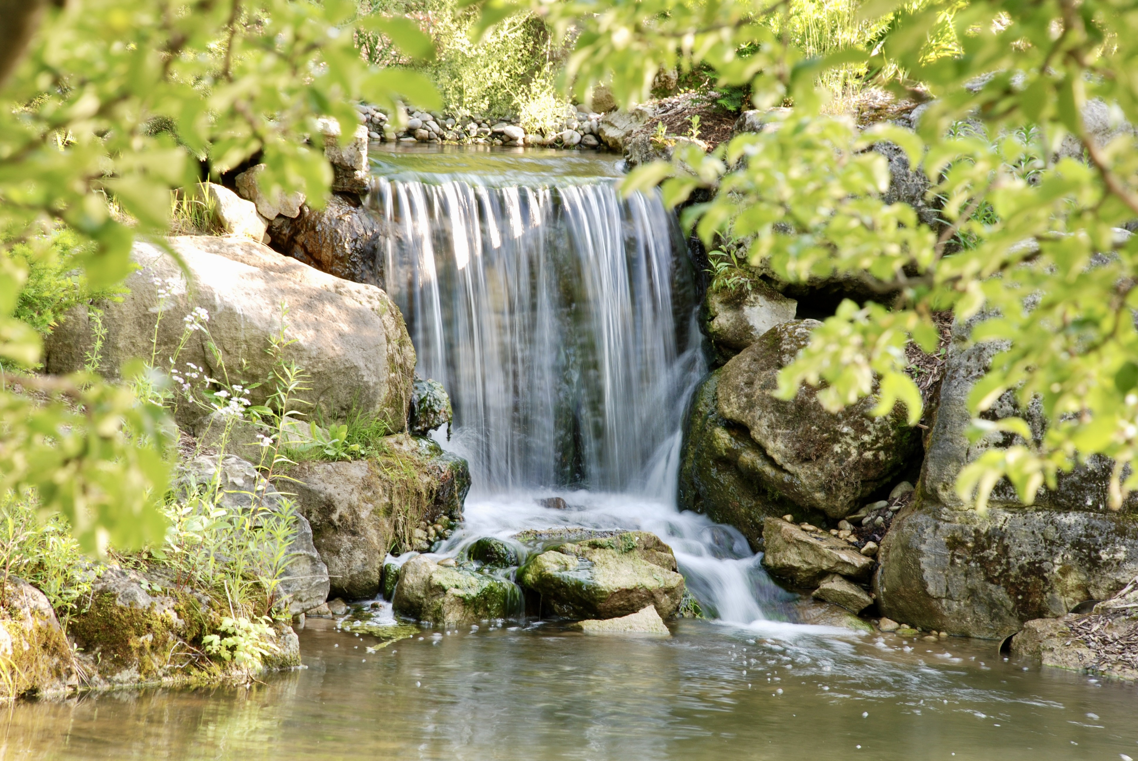 Nature's Reflections by Headwaters Landscape Design & Construction — summer landscape view