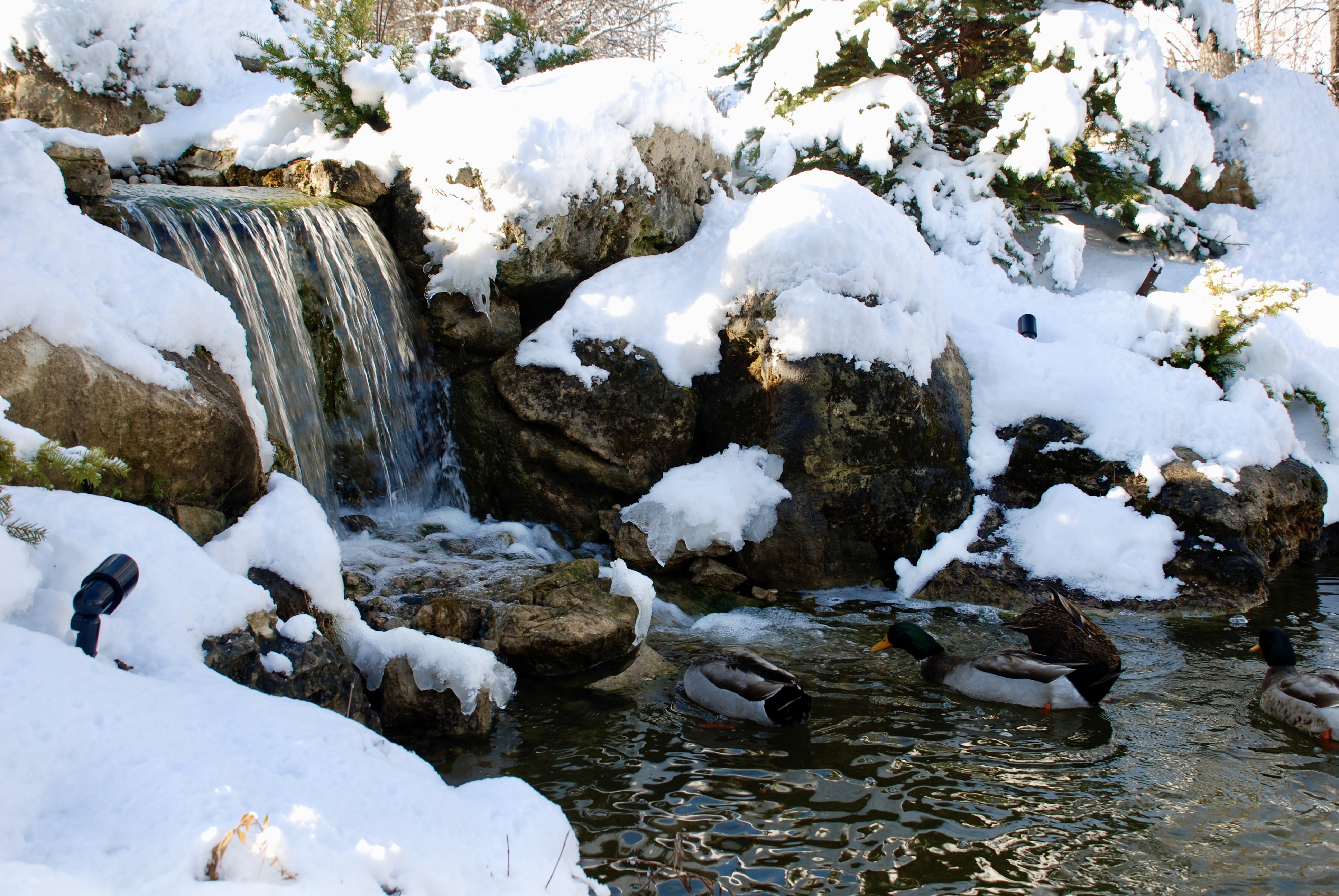 Ten Sideroad winter waterfall and stone stream detail by Headwaters Landscape Design & Construction