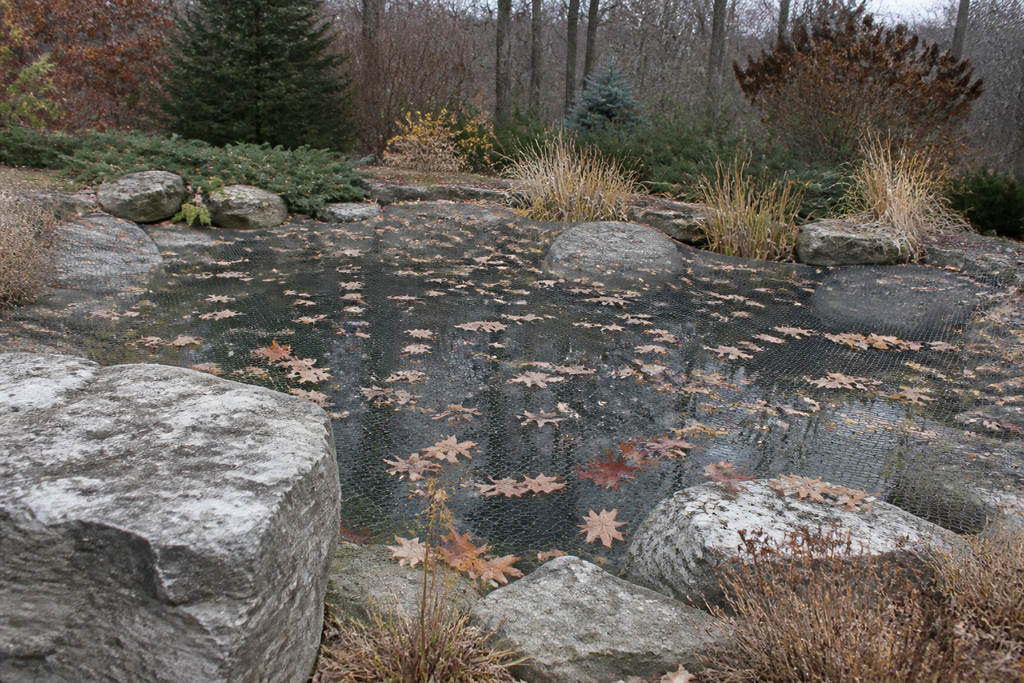 A pond in an Ontario garden covered with netting in the fall to prepare for winter, with leaves on top of the net and stone edging.